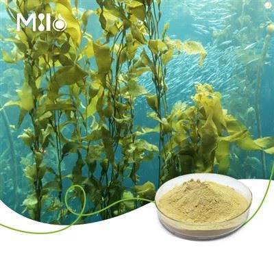 Фукоксантин на прах